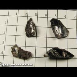 Mineral Specimen: Axinite-(Fe) 4 pieces from Toroku mine, Takachiho, Miyazaki Prefecture, Kyushu Region, Japan Mineral Specimen: Axinite-(Fe) 4 pieces from Toroku mine, Takachiho, Miyazaki Prefecture, Kyushu Region, Japan