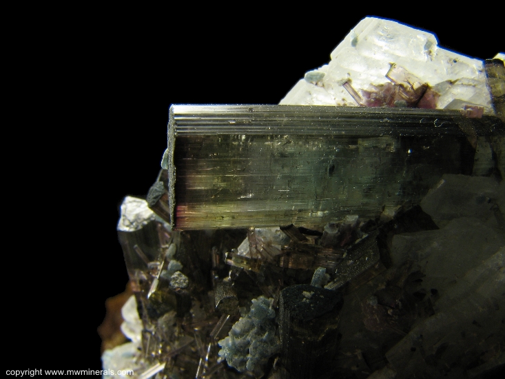 Mineral Specimen: Tourmaline, Apatite, Lepidolite on Albite from Pederneira Mine, Sao Jose da Safira, Doce valley, Minas Gerais, Brazil