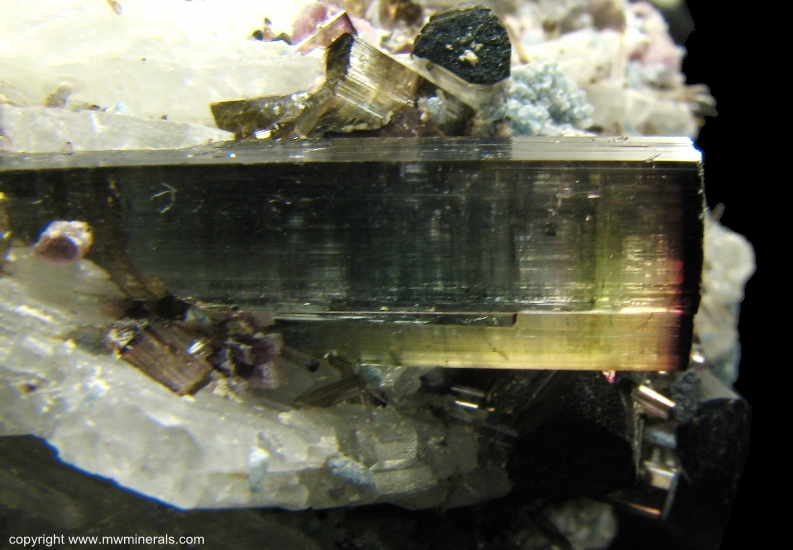 Mineral Specimen: Tourmaline, Apatite, Lepidolite on Albite from Pederneira Mine, Sao Jose da Safira, Doce valley, Minas Gerais, Brazil