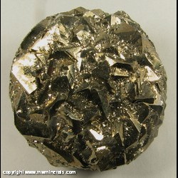 Mineral Specimen: Pyrite from American Aggregates Corp. Quarry, Indianapolis, Marion Co., Indiana Mineral Specimen: Pyrite from American Aggregates Corp. Quarry, Indianapolis, Marion Co., Indiana