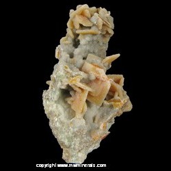 Minerals Specimen: Quartz Epimorph after Wulfenite from Finch Mine (Barking Spider Mine), Reagan claims, Keystone Gulch, Chilito, Hayden area, Banner District, Dripping Spring Mts, Gila Co., Arizona Minerals Specimen: Quartz Epimorph after Wulfenite from Finch Mine (Barking Spider Mine), Reagan claims, Keystone Gulch, Chilito, Hayden area, Banner District, Dripping Spring Mts, Gila Co., Arizona