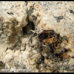 Minerals Specimen: Kupletskite, Elipidite, Aegirine from Gjerdingselva, Nordmarka, Lunner, Oppland, Norway