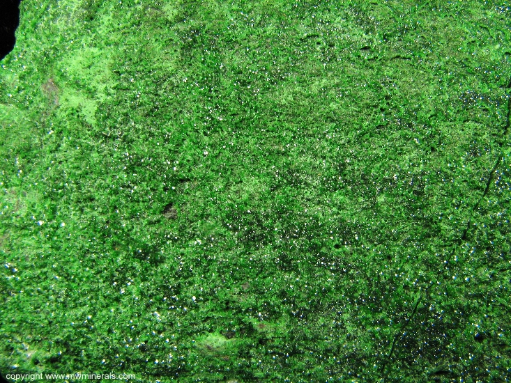 Mineral Specimen: Uvarovite Garnet from Saranovskii Mine , Saranovskaya Village, Gornozavodskii area, Permskaya Oblast', Middle Urals, Urals Region, Russia