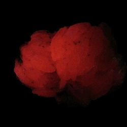 Mineral Specimen: Manganoan Calcite, Hedenbergite, Quartz, Galena, Sphalerite from El Mochito Mine, El Mocho, Honduras 