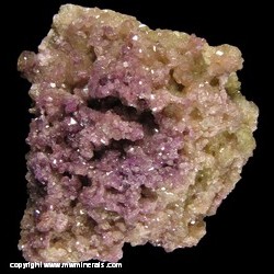 Mineral Specimen: Bicolor Veusvianite from Jeffrey Quarry, Asbestos, Les Sources RCM, Estrie, Quebec, Canada Mineral Specimen: Bicolor Veusvianite from Jeffrey Quarry, Asbestos, Les Sources RCM, Estrie, Quebec, Canada