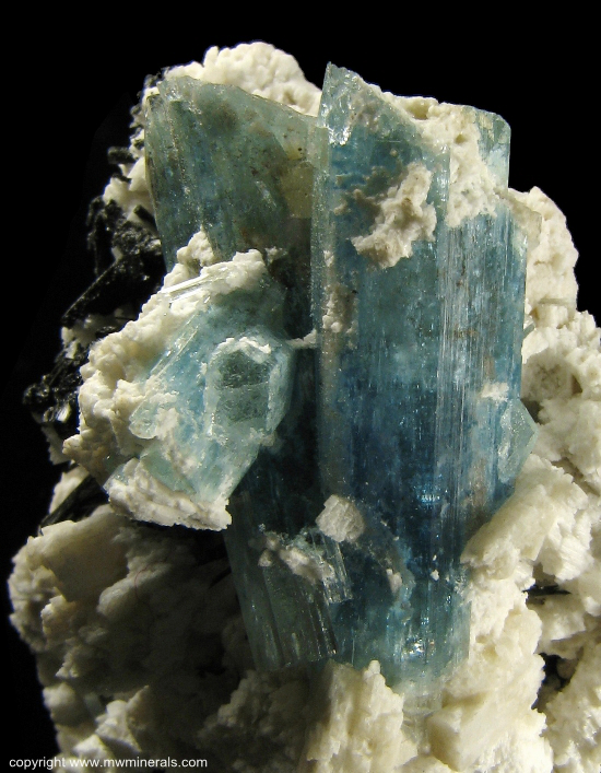 Mineral Specimen: Aquamarine, Tourmaline (Schorl), Albite from Erongo Mountain, Erongo Region, Namibia