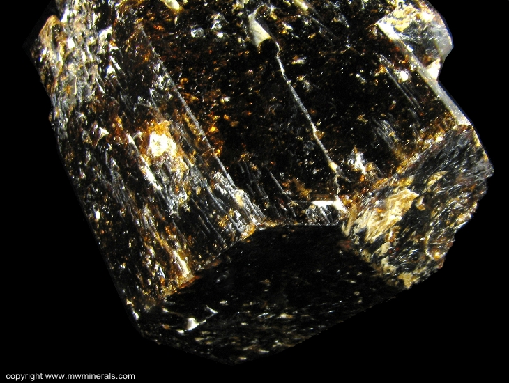 Mineral Specimen: Dravite Tourmaline from Soklich Open Cut, Yinnietharra Station, Pilbara Region, Western Australia, Australia