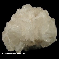 Mineral Specimen: Quartz on Twinned Calcite Crystals on Chalcedony Pseudomorph after Aragonite from Cadman Quarry, Monroe, Snowmish Co., Washington Mineral Specimen: Quartz on Twinned Calcite Crystals on Chalcedony Pseudomorph after Aragonite from Cadman Quarry, Monroe, Snowmish Co., Washington