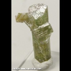 Mineral Specimen: Tourmaline from Ribeirao da Folha district, Minas Novas, Minas Gerais, Brazil Mineral Specimen: Tourmaline from Ribeirao da Folha district, Minas Novas, Minas Gerais, Brazil