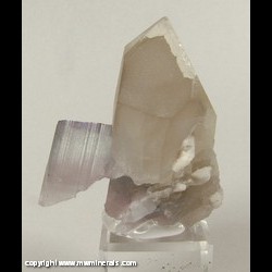 Mineral Specimen: Tourmaline on Quartz from Pakistan
