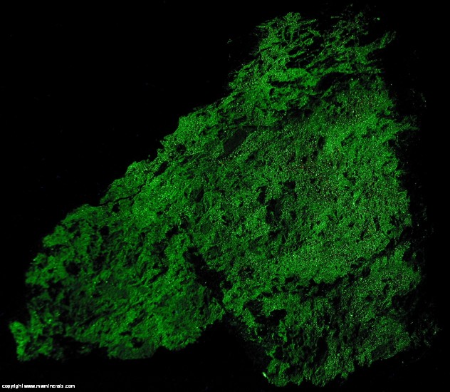 Fluorescent Mineral Specimen: Hendricksite from Franklin Mine, Franklin, Franklin Mining District, Sussex Co., New Jersey Fluorescent Mineral Specimen: Hendricksite from Franklin Mine, Franklin, Franklin Mining District, Sussex Co., New Jersey