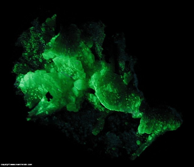 Fluorescent Mineral Specimen: Bicolor Adamite from Mina Ojuela, Mapimi, Durango, Mexico