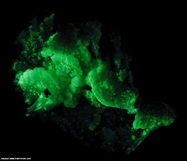 Fluorescent Mineral Specimen: Bicolor Adamite from Mina Ojuela, Mapimi, Durango, Mexico Fluorescent Mineral Specimen: Bicolor Adamite from Mina Ojuela, Mapimi, Durango, Mexico