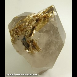 Mineral Specimen: Rutilated Smoky Quartz from Novo Horizonte, Bahia, Brazil