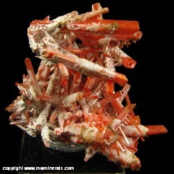 Minerals Specimen: Gibbsite on Crocoite from Adelaide Mine, Dundas, Zeehan District, Tasmania, Australia Minerals Specimen: Gibbsite on Crocoite from Adelaide Mine, Dundas, Zeehan District, Tasmania, Australia