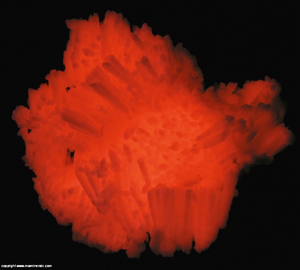 Fluorescent Mineral Specimen: Kutnohorite from N'Chwaning II Mine, Kuruman, Kalahari manganese fields, Northern Cape Province, South Africa Fluorescent Mineral Specimen: Kutnohorite from N'Chwaning II Mine, Kuruman, Kalahari manganese fields, Northern Cape Province, South Africa