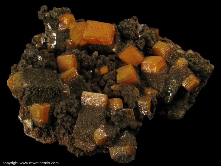 Mineral Specimen: Wulfenite from Erupcion Mine, Ahumada, Sierra de Los Lamentos, Chihuahua, Mexico