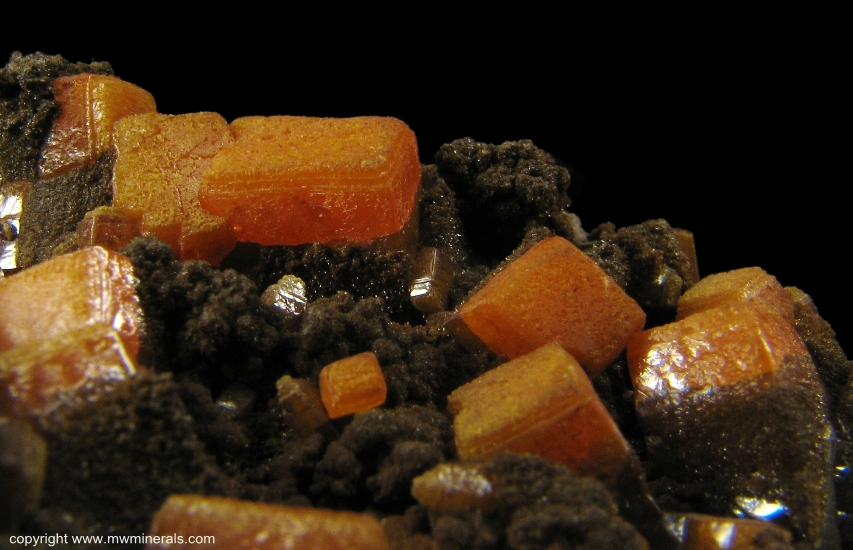 Mineral Specimen: Wulfenite from Erupcion Mine, Ahumada, Sierra de Los Lamentos, Chihuahua, Mexico