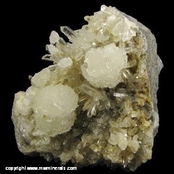 Minerals Specimen: Wavellite on Quartz from Siglo Veinte Mine (Catavi), Llallagua, Rafael Bustillo Prov., Potosi Dept., Bolivia Minerals Specimen: Wavellite on Quartz from Siglo Veinte Mine (Catavi), Llallagua, Rafael Bustillo Prov., Potosi Dept., Bolivia