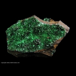 Minerals Specimen: Atacamite from Daye Iron Mine, Hubei, China Minerals Specimen: Atacamite from Daye Iron Mine, Hubei, China