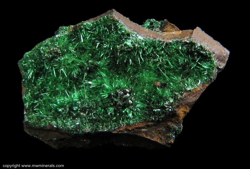 Mineral Specimen: Atacamite from Daye Iron Mine, Hubei, China