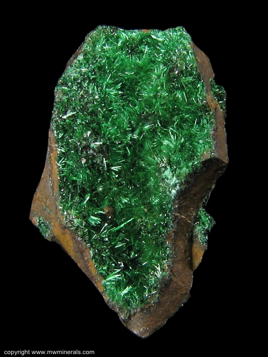 Mineral Specimen: Atacamite from Daye Iron Mine, Hubei, China