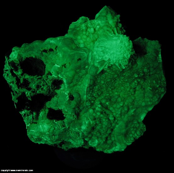Fluorescent Mineral Specimen: Fluorescent Hyaline Opal with Included Uranium Compounds from Mina el Padre (Mina Esperanza), Mapimi, Durango, Mexico Fluorescent Mineral Specimen: Fluorescent Hyaline Opal with Included Uranium Compounds from Mina el Padre (Mina Esperanza), Mapimi, Durango, Mexico