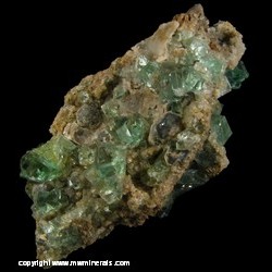 Mineral Specimen: Fluorite, Galena from Heights Mine, Westgate, Weardale, North Pennines, Co. Durham, England Mineral Specimen: Fluorite, Galena from Heights Mine, Westgate, Weardale, North Pennines, Co. Durham, England