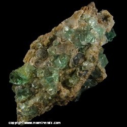 Mineral Specimen: Fluorite, Galena from Heights Mine, Westgate, Weardale, North Pennines, Co. Durham, England