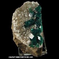 Minerals Specimen: Dioptase from Altyn-Tube, Kirghiz Steppes, Karagandy Prov., Kazakhstan Minerals Specimen: Dioptase from Altyn-Tube, Kirghiz Steppes, Karagandy Prov., Kazakhstan