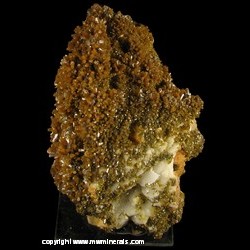 Minerals Specimen: Pyromorphite from Les Farges Mine, Ussel, Correze, Limousin, France Minerals Specimen: Pyromorphite from Les Farges Mine, Ussel, Correze, Limousin, France