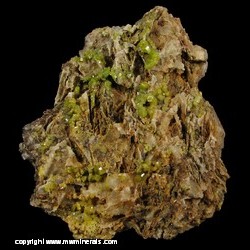 Minerals Specimen: Pyromorphite on Quartz with Casts after Barite from Mexico Mine, Roughton Gill, Caldbeck Fells, Cumbria, England Minerals Specimen: Pyromorphite on Quartz with Casts after Barite from Mexico Mine, Roughton Gill, Caldbeck Fells, Cumbria, England