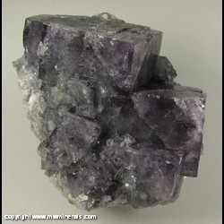 Mineral Specimen: Fluorite from Blackdene Mine, Ireshopeburn, Weardale, North Pennines, Co. Durham, England Mineral Specimen: Fluorite from Blackdene Mine, Ireshopeburn, Weardale, North Pennines, Co. Durham, England