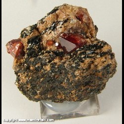 Mineral Specimen: Zircon from Harchoo, Astor Diamer District, Northern Areas, Pakistan Mineral Specimen: Zircon from Harchoo, Astor Diamer District, Northern Areas, Pakistan