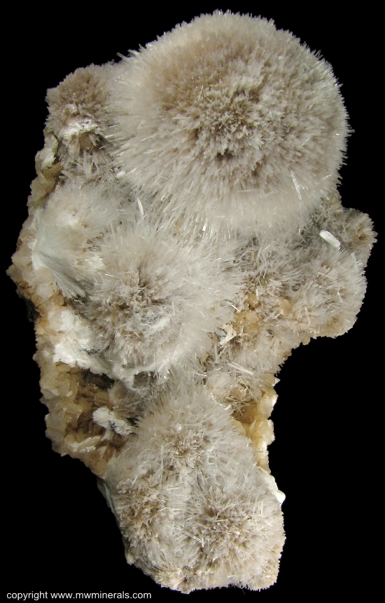 Mineral Specimen: Mesolite from Kannad, Aurangabad District, Maharashtra, India