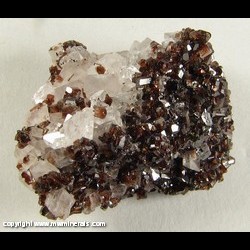 Minerals Specimen: Dravite Tourmaline on Magnesite with Minor Hematite from Brumado, Bahia, Brazil Minerals Specimen: Dravite Tourmaline on Magnesite with Minor Hematite from Brumado, Bahia, Brazil