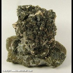 Mineral Specimen: Pyrite after Marine Burrow from Ross Co., Ohio Mineral Specimen: Pyrite after Marine Burrow from Ross Co., Ohio