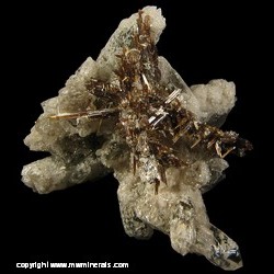 Minerals Specimen: Sagenite Rutile (Reticulated Twins) on Double Terminated Quartz from Diamantina, Minas Gerais, Brazil Minerals Specimen: Sagenite Rutile (Reticulated Twins) on Double Terminated Quartz from Diamantina, Minas Gerais, Brazil
