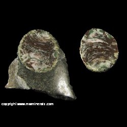 Mineral Specimen: Copper Included in Agate in Basalt from Wolverine Mine #2 Shaft, Houghton Co., Michigan Mineral Specimen: Copper Included in Agate in Basalt from Wolverine Mine #2 Shaft, Houghton Co., Michigan