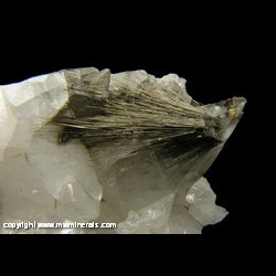 Minerals Specimen: Millerite and Chalcopyrite on and included in Calcite from Coralville, Johnson Co., Iowa Minerals Specimen: Millerite and Chalcopyrite on and included in Calcite from Coralville, Johnson Co., Iowa