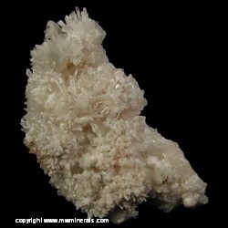 Mineral Specimen: Aragonite variety: Flor Ferri from Pima County, Arizona Mineral Specimen: Aragonite variety: Flor Ferri from Pima County, Arizona