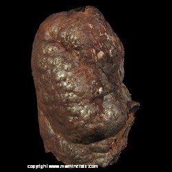 Mineral Specimen: Kidney Ore Hematite Stalactite from Beckermet Mine, Egremont, West Cumberland, Cumbria, England