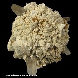 Mineral Specimen: Siderite, Quartz from Alice Glory Hole, Alice Mine, Alice District, Clear Creek Co., Colorado Mineral Specimen: Siderite, Quartz from Alice Glory Hole, Alice Mine, Alice District, Clear Creek Co., Colorado