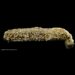 Minerals Specimen: Quartz and Hematite pseudomorph after Epidote from Bessemer Ridge, Green Mountain, North Bend, King County, Washington Minerals Specimen: Quartz and Hematite pseudomorph after Epidote from Bessemer Ridge, Green Mountain, North Bend, King County, Washington