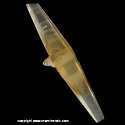 Mineral Specimen: Double Terminated Phantom Calcite from Yuzhnoe Pb-Zn-Ag deposit, Primorskiy Kray, Far-Eastern Region, Russia Mineral Specimen: Double Terminated Phantom Calcite from Yuzhnoe Pb-Zn-Ag deposit, Primorskiy Kray, Far-Eastern Region, Russia
