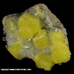 Minerals Specimen: Sulfur Crystals with Celestine Crystals from Maybee Quarry, Maybee, Monroe Co., Michigan Minerals Specimen: Sulfur Crystals with Celestine Crystals from Maybee Quarry, Maybee, Monroe Co., Michigan