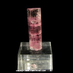 Mineral Specimen: Tourmaline from Arqueana Mine, Itinga, Minas Gerais, Brazil