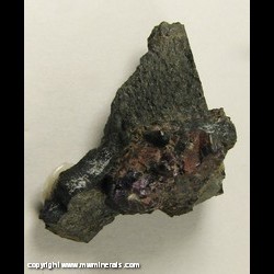 Mineral Specimen: Allanite, Fluorite, Pyrite from Madawaska Mine (Faraday Mine), Faraday Twp., Hastings Co., Ontario, Canada Mineral Specimen: Allanite, Fluorite, Pyrite from Madawaska Mine (Faraday Mine), Faraday Twp., Hastings Co., Ontario, Canada