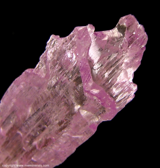 Mineral Specimen: Kunzite (Spodumene) from Urucum Mine, Galileia, Minas Gerais, Brazil