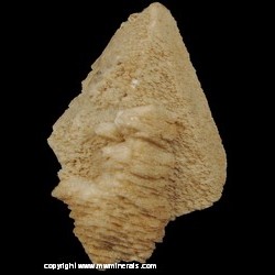 Mineral Specimen: Two Generations Calcite (Aragonite on Calcite) from Tri State District, Joplin, Missouri Mineral Specimen: Two Generations Calcite (Aragonite on Calcite) from Tri State District, Joplin, Missouri